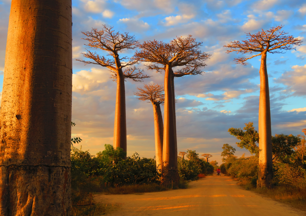 Un été au rythme de la nature