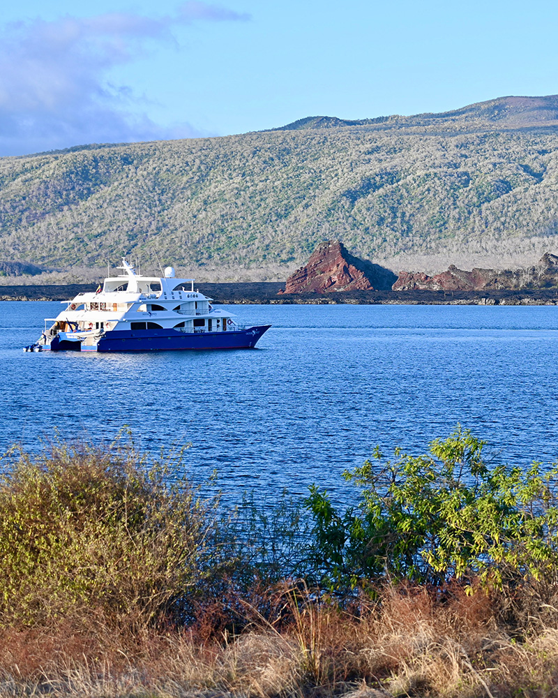 Découverte de Tagus Cove et de l'île Fernandina