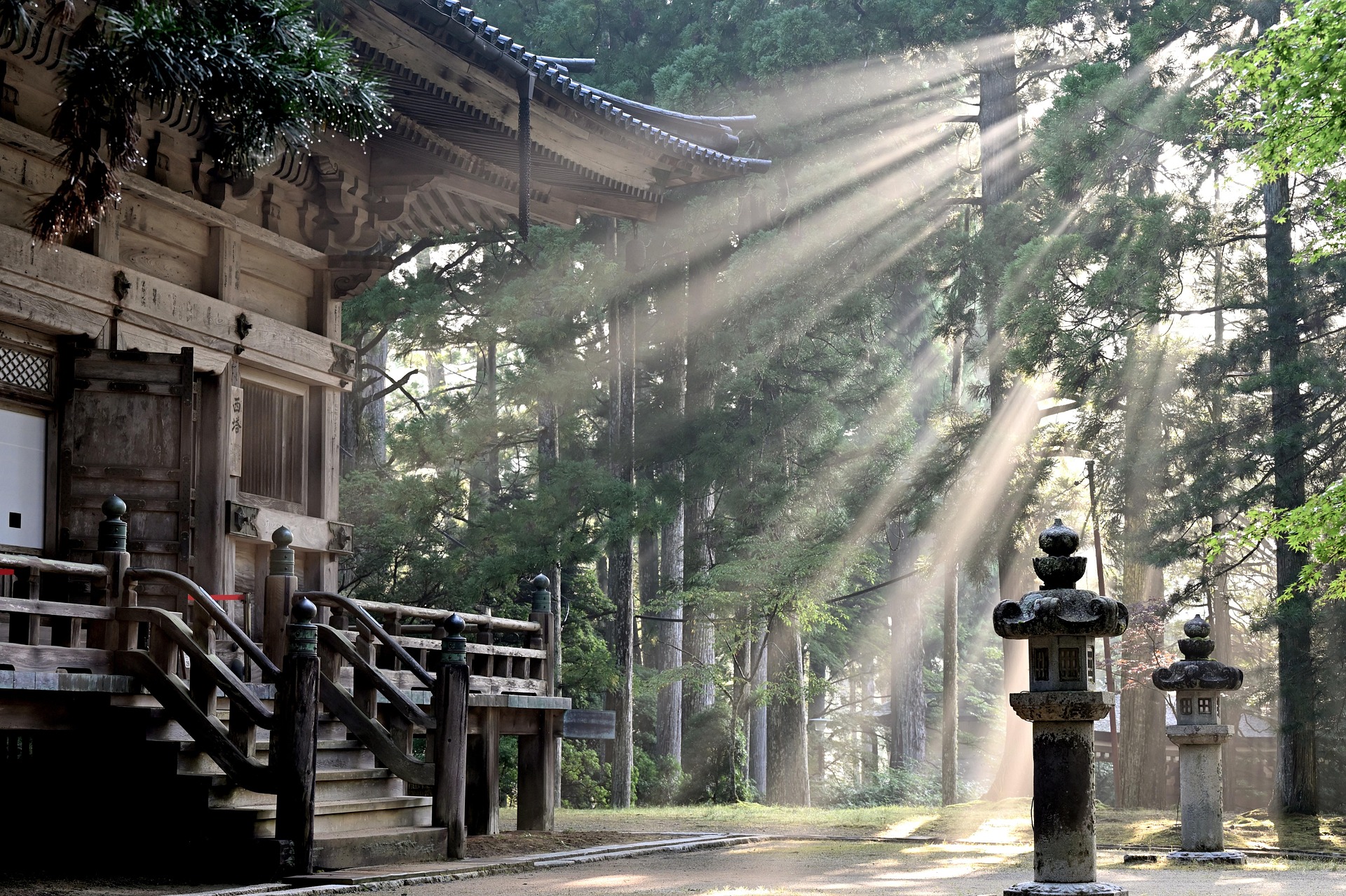 Les essentiels du Japon : villes trépidantes et randonnée aux pieds des Alpes japonaises avec VIP Partners