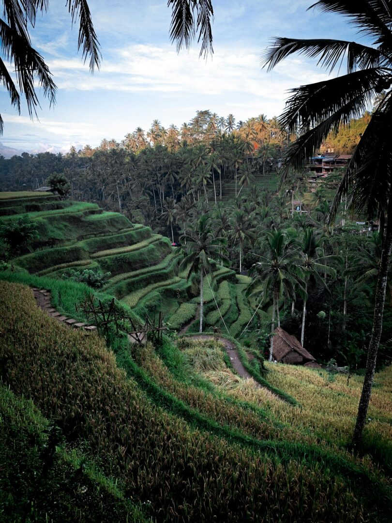Europe - Bali : Vol international
