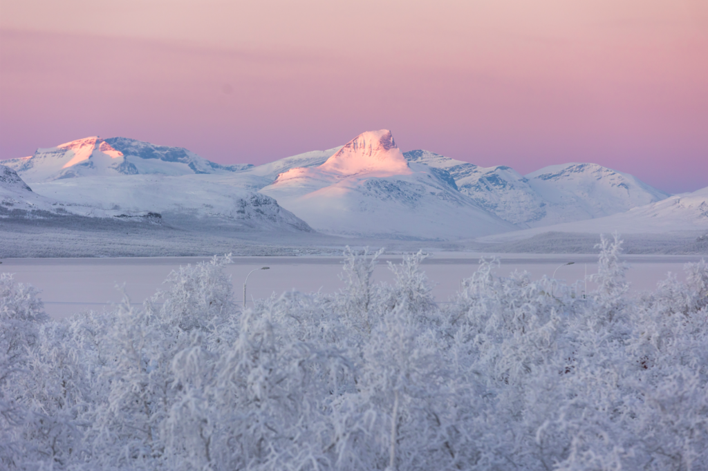 Paradis blancs