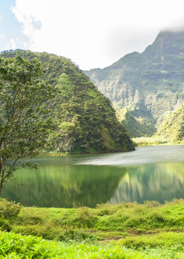 Tahiti : Nature sauvage et lagons noirs 