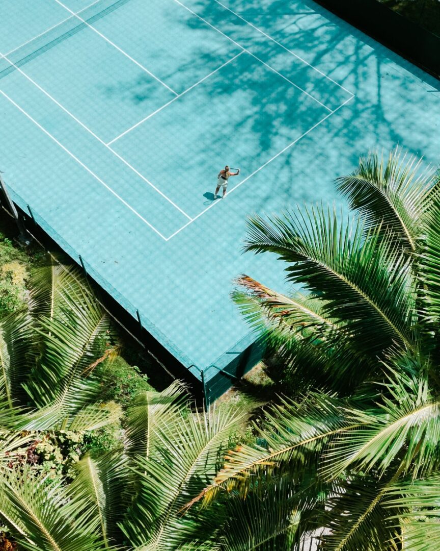 Bora Bora : Savoirs et légendes botaniques 