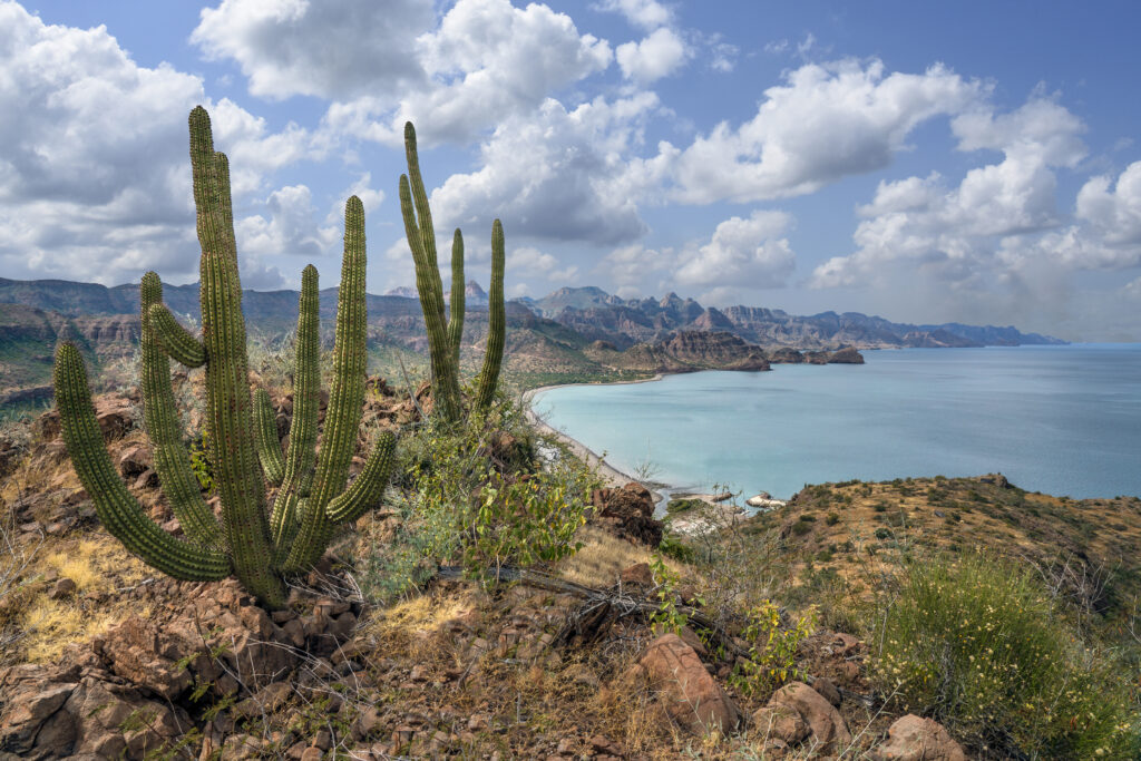 Mexique, quatre visages d’un pays vibrant