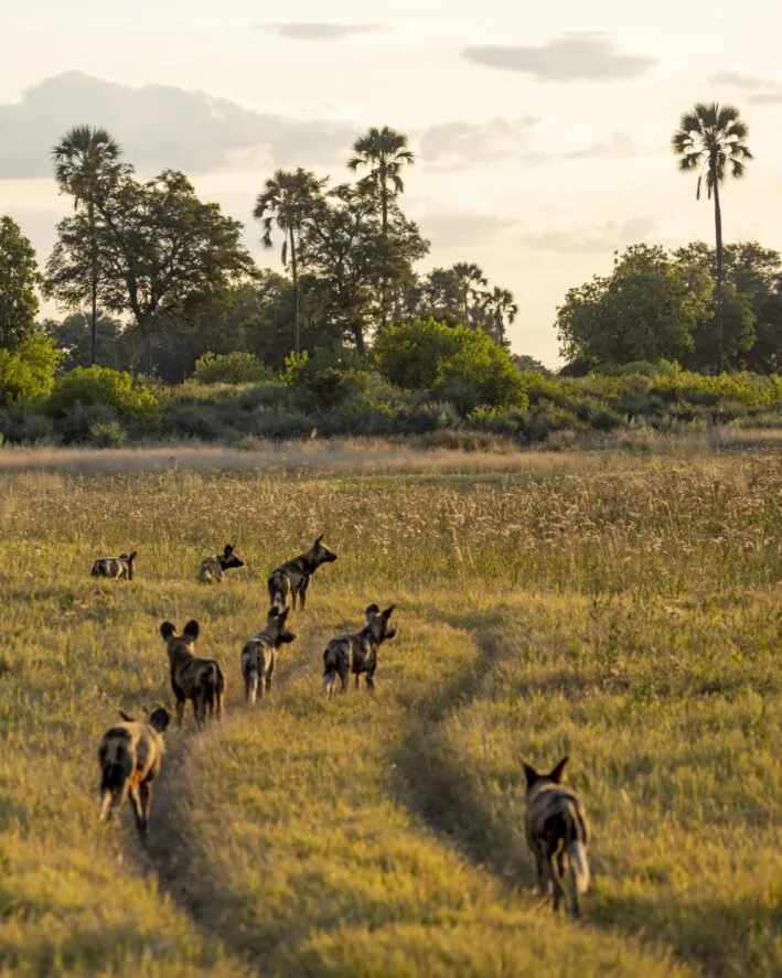 Accueil